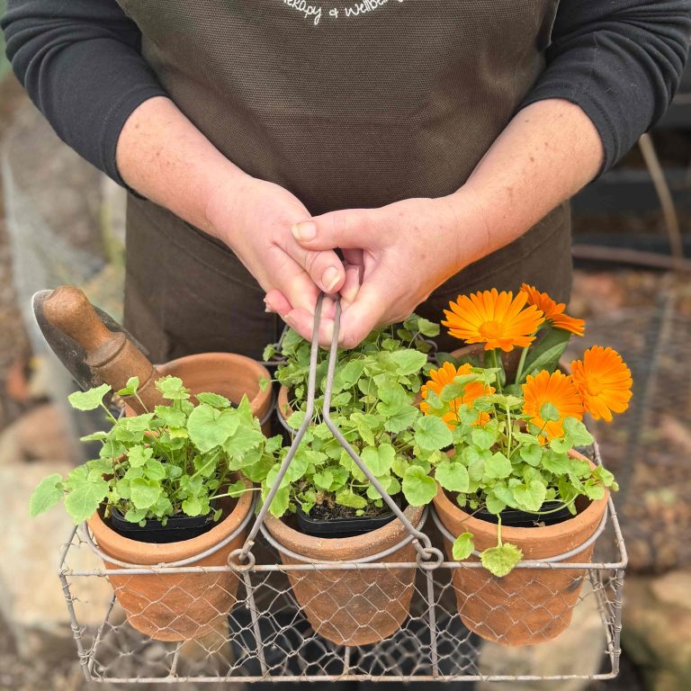 TH Bio Pic compressed 2 768x768